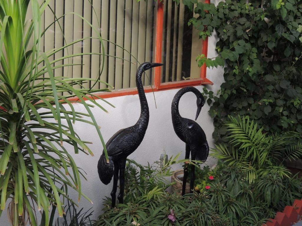 Casa Larrea 3* Palm Desert